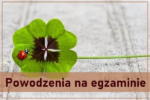 Thumbnail for the post titled: Powodzenia na Egzaminie Ósmoklasisty!